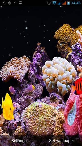 Screenshot From Our Aquarium Live Wallpaper Review