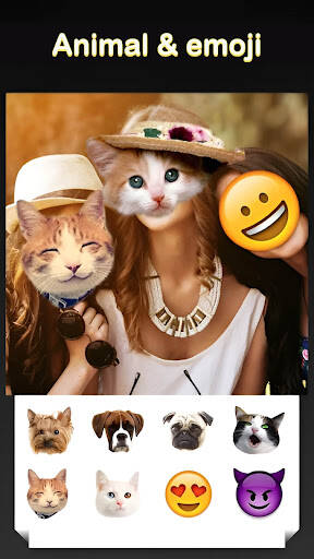 Screenshot From Our Beauty Face Plus :  face morph Review