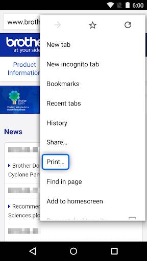 Screenshot From Our Brother Print Service Plugin Review