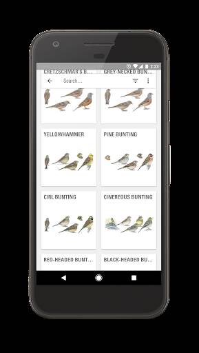 Screenshot From Our Collins Bird Guide Review