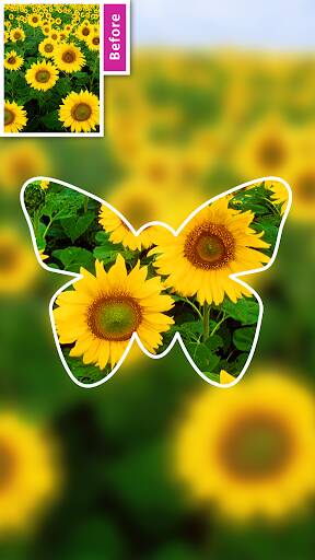 Screenshot From Our DSLR Blur Background, Bokeh bg Review