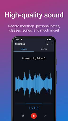 Screenshot From Our Easy Voice Recorder Pro Review