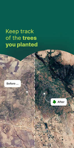 Screenshot From Our Ecosia: Browse to plant trees. Review