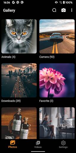 Screenshot From Our Gallery - photo gallery, album Review