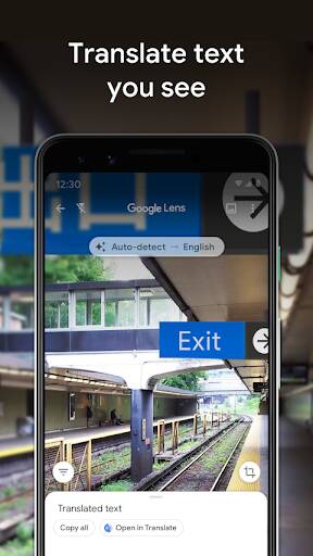 Screenshot From Our Google Lens Review