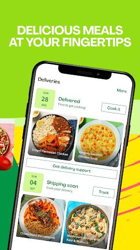 Screenshot From Our HelloFresh: Meal Kit Delivery Review