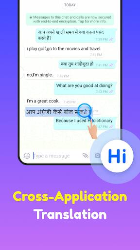 Screenshot From Our Hi Dictionary - Learn Language Review