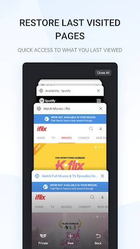 Screenshot From Our Internet Browser Review