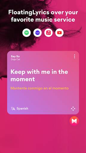 Screenshot From Our Musixmatch: lyrics finder Review