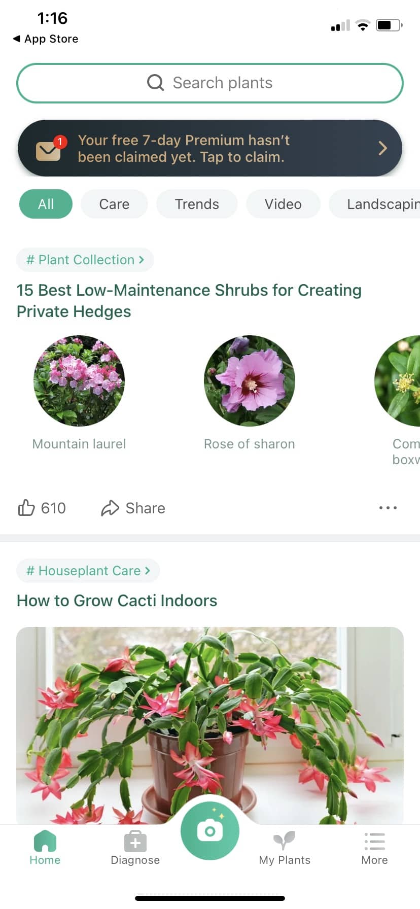 Screenshot From Our PictureThis Review