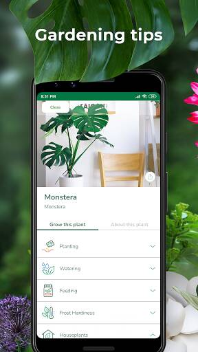 Screenshot From Our PlantSnap plant identification Review