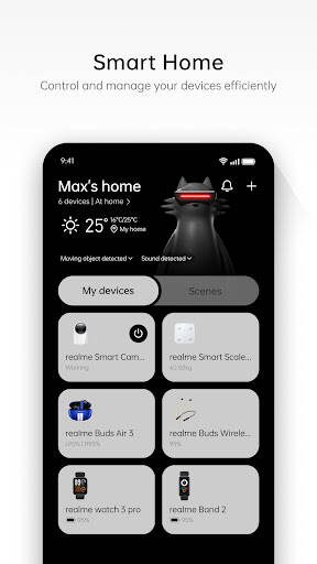 Screenshot From Our realme Link Review