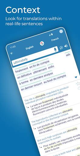 Screenshot From Our Reverso Translate and Learn Review