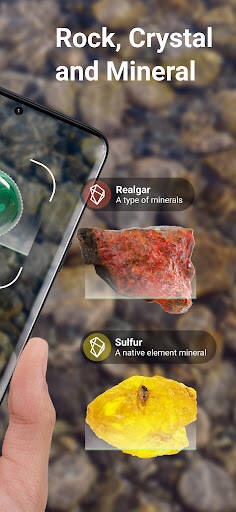 Screenshot From Our Rock Identifier: Stone ID Review