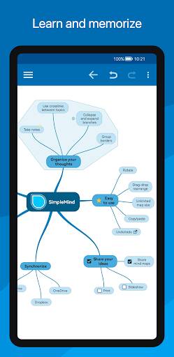 Screenshot From Our SimpleMind Pro - Mind Mapping Review