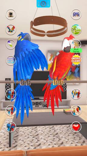 Screenshot From Our Talking Parrot Couple Review