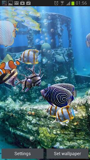 Screenshot From Our The real aquarium - LWP Review