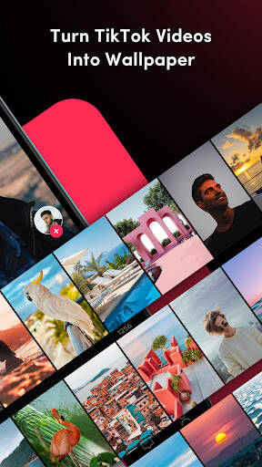 Screenshot From Our TickTock-TikTok Live Wallpaper Review