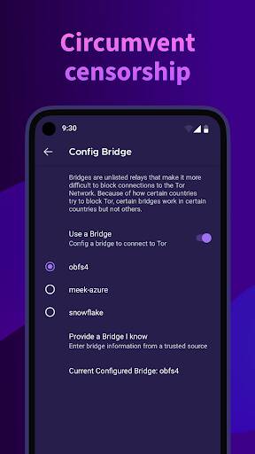 Screenshot From Our Tor Browser Review