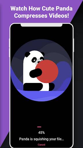 Screenshot From Our Video Compressor Panda Resizer Review