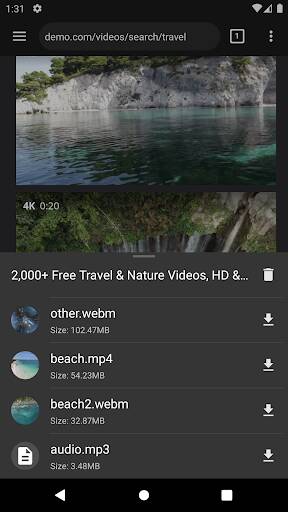 Screenshot From Our Video Downloader Review