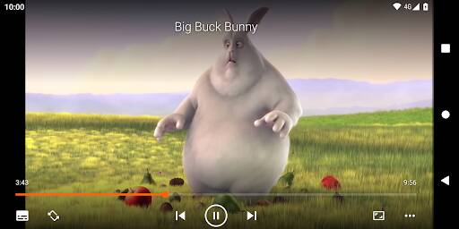 Screenshot From Our VLC for Android Review