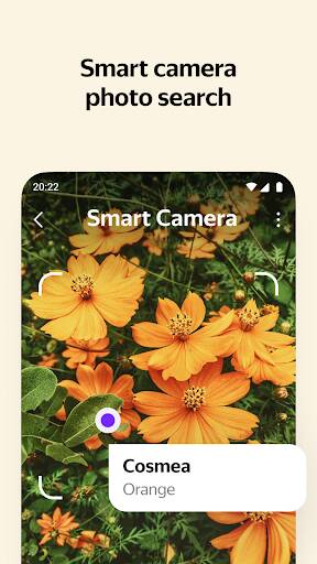 Screenshot From Our Yandex with Alice Review